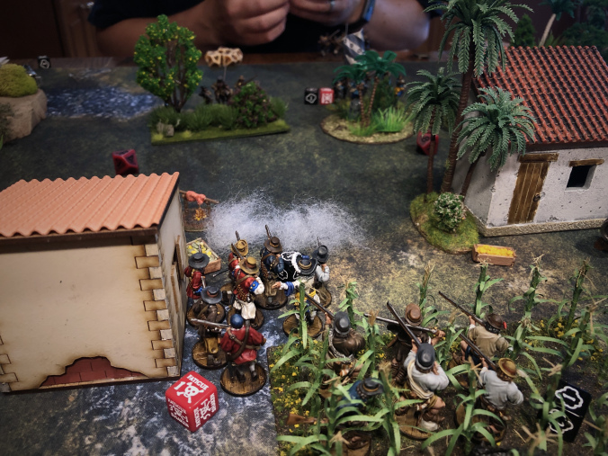 logwood battle