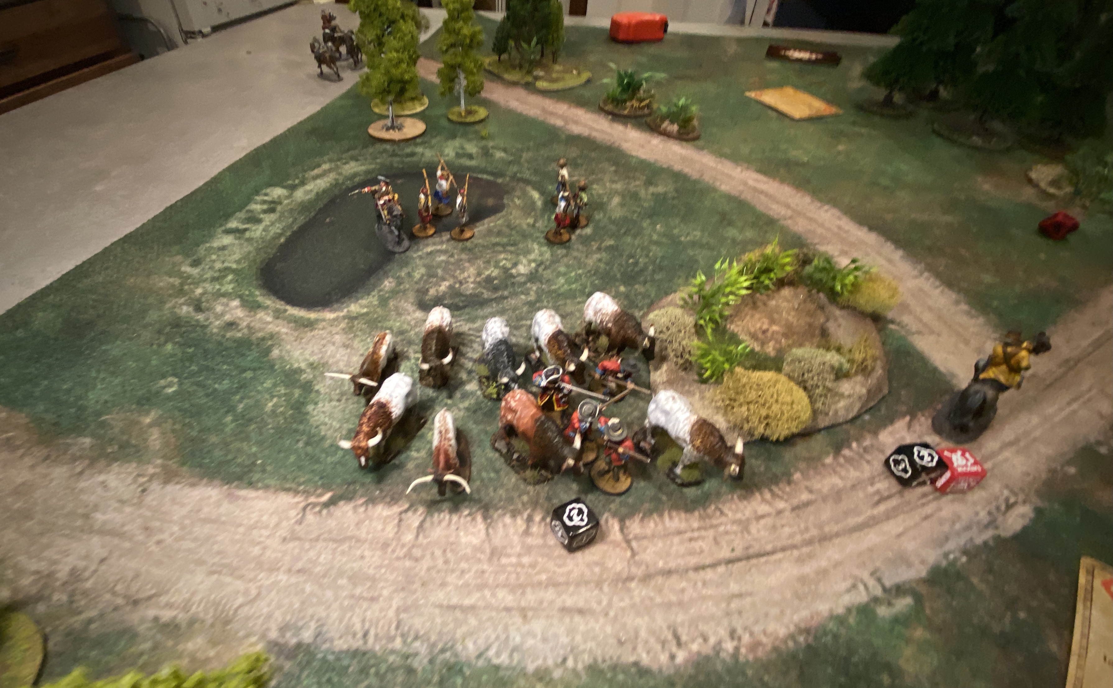 Cattle trample more English troops