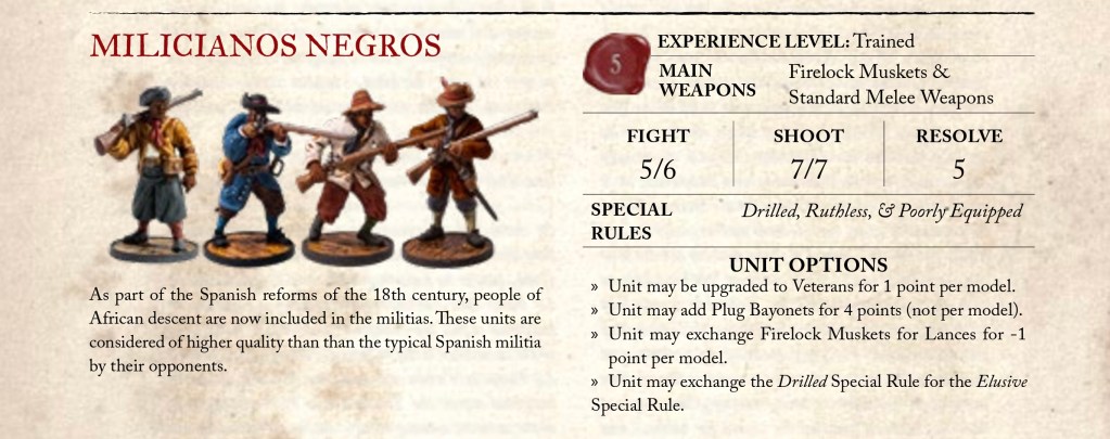 Blood and Plunder militia