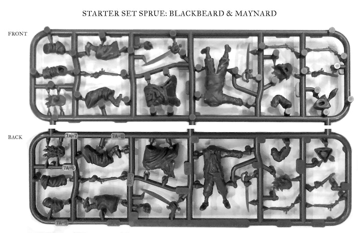 blackbeard sprue