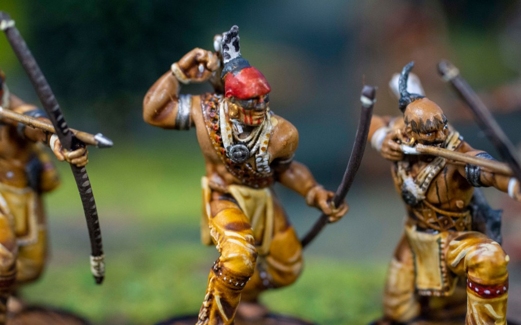 blood and plunder young brave models