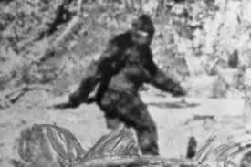 Bigfoot photo