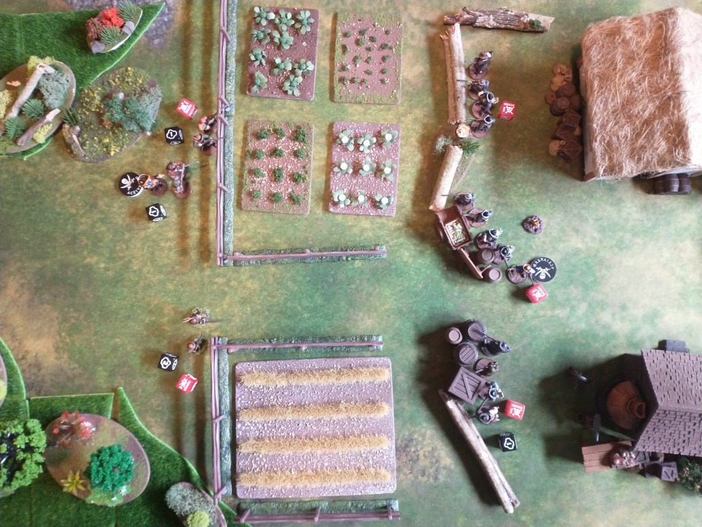 Dutch battle by Bryan Hangartner