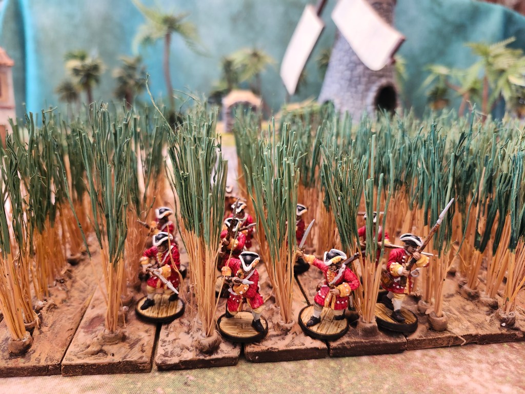 British Regulars in a sugarcane field (angled top view)