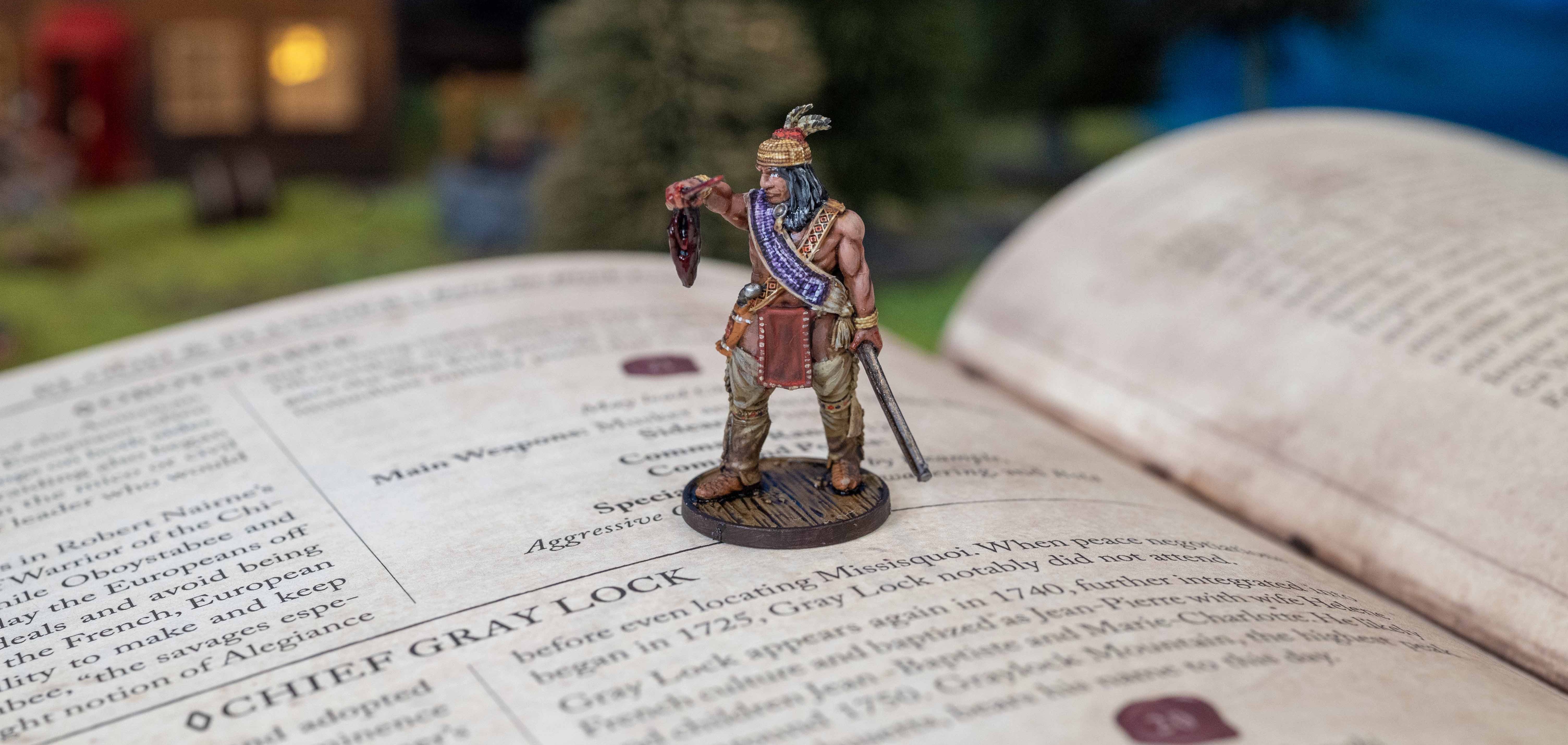 Chief Gray Lock – Painted Blood & Plunder Miniature Showcase