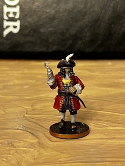Entry # 8 - "Captain Hook" Pirate Commander