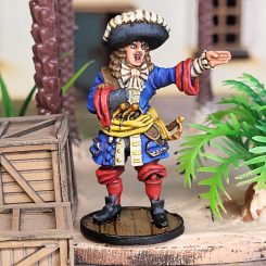 Entry # 9 - French Commander