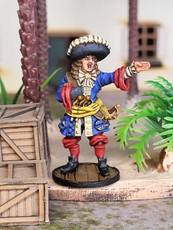 Entry # 9 - French Commander