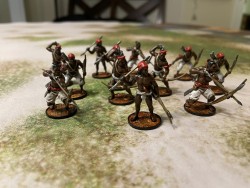 Entry # 5 - Native American Force