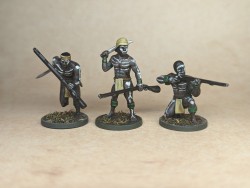 Entry # 10 - African Warriors