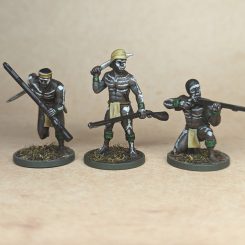 Entry # 10 - African Warriors