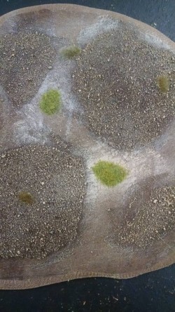 Adam Godeck - Area rough and cover terrain Adam Godeck - Area rough and cover terrain