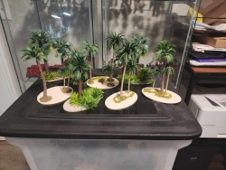 Sandy palm tree area terrain by Damien Macomber Sandy palm tree area terrain by Damien Macomber