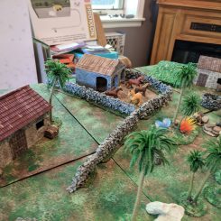 Spanish wargaming village with horses in a corral with palm trees