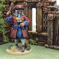 Entry #12 - English Commander