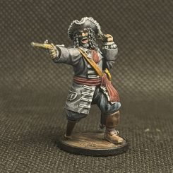 Entry #2 - Pegleg Pirate Commander
